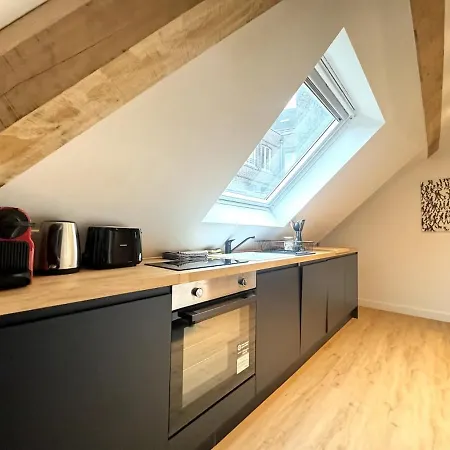 Appartement Le Grenier De La Grappe 2 Lille